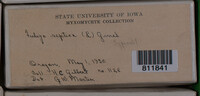 Image Associated With the Occurence